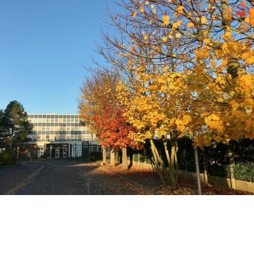 Entrée en automne (2017)