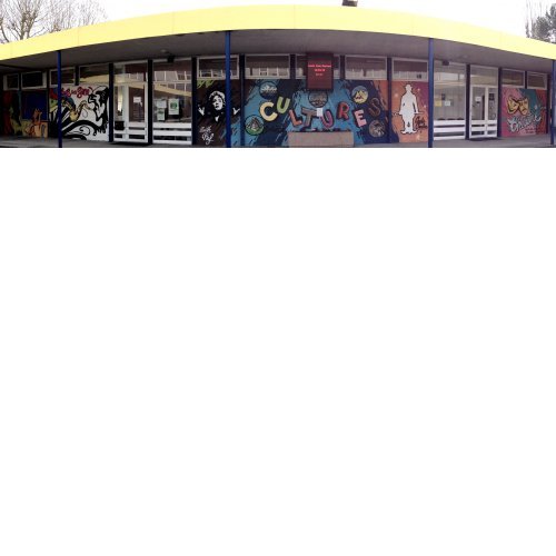 Fresque dans la cour