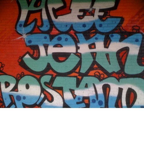 Lycée Jean Rostand-mur